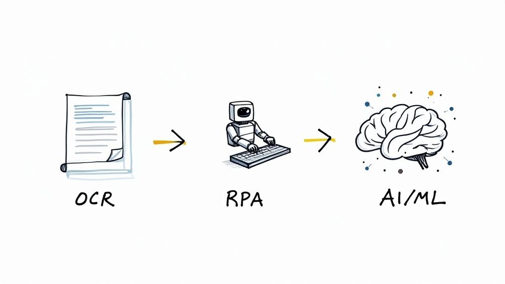 A diagram illustrating the flow from OCR to RPA, leading to AI/ML for automated data processing.