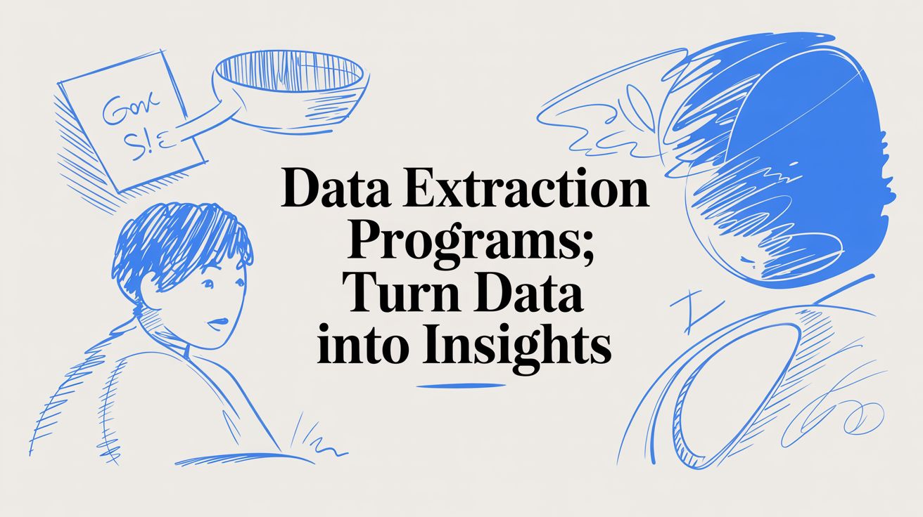 Data Extraction Programs: Turn Data Into Insights