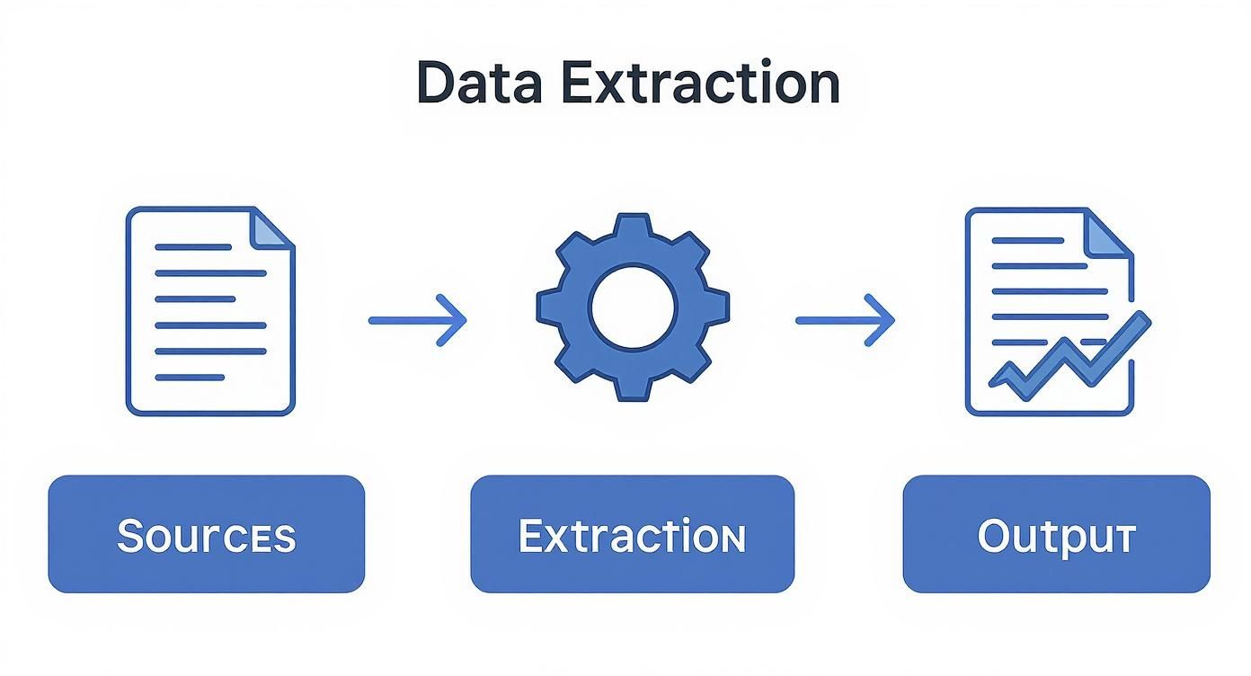 Diagram illustrating the data extraction process, showing sources, extraction, and output steps.