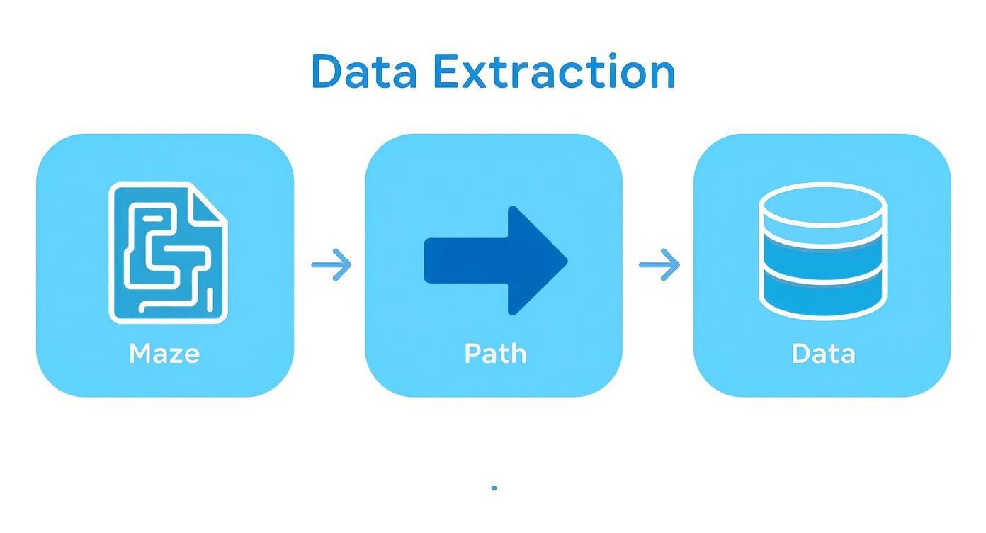 Infographic about document data extraction software