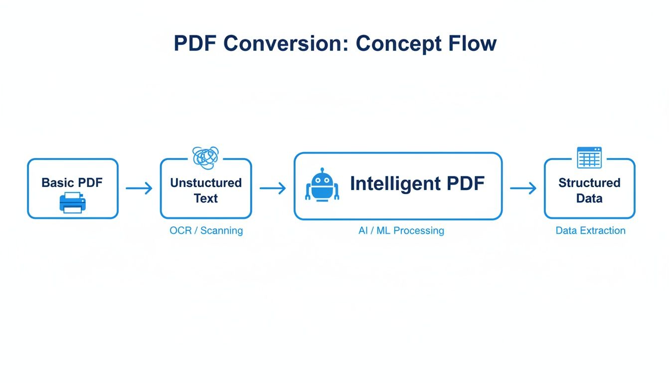 Flowchart detailing PDF conversion from basic PDF to structured data via OCR, AI, and extraction.